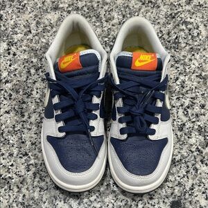 Nike Dunks Kids' Blue Gray White Sneakers